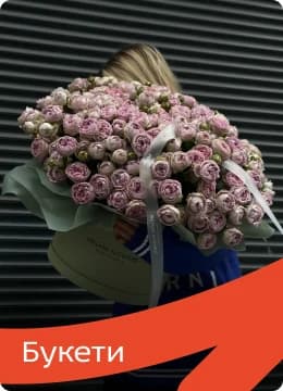 Сьогоднішні надходження Сьогоднішні надходження